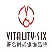 V6銀飾加盟